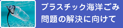 海洋ゴミ問題